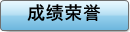 成绩荣誉