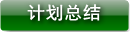 计划总结