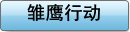 雏鹰行动
