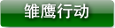 雏鹰行动