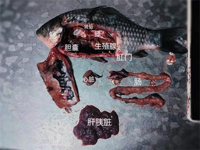 微信图片_202204222123164.jpg