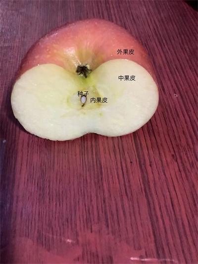 微信图片_202204222123165.jpg