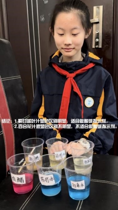 对比紫甘蓝汁和百合汁.jpg