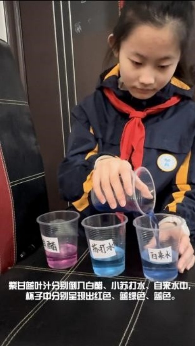 用自制酸碱指示剂检测溶液酸碱性.jpg