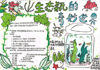 生态瓶5.jpg