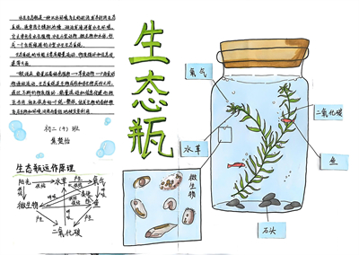 生态瓶8.jpg