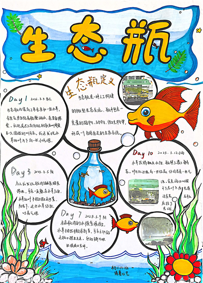 生态瓶1.jpg 生态瓶1.jpg